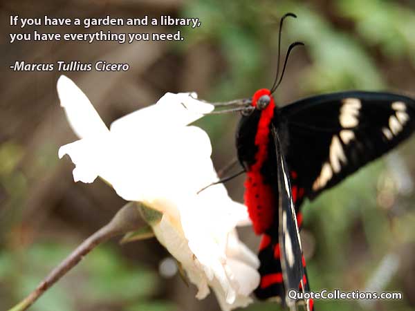 Marcus Tullius Cicero Quotes2